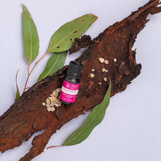 Frankincense Essential Oil