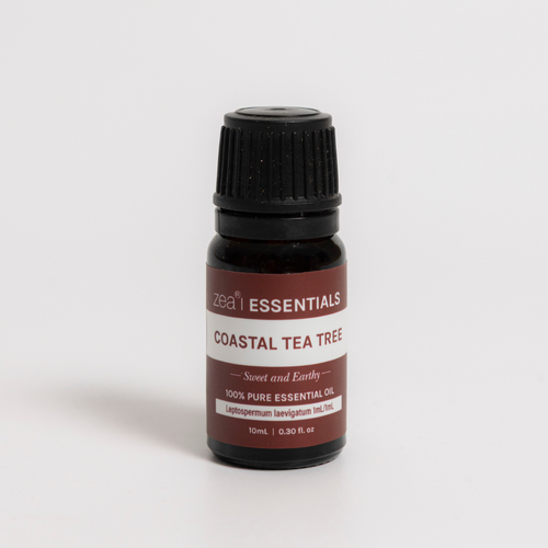 Coastal Tea Tree Essential Oil, on a plain background