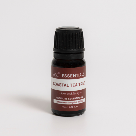 Coastal Tea Tree Essential Oil, on a plain background