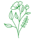 Tasmanian Kunzea Oil